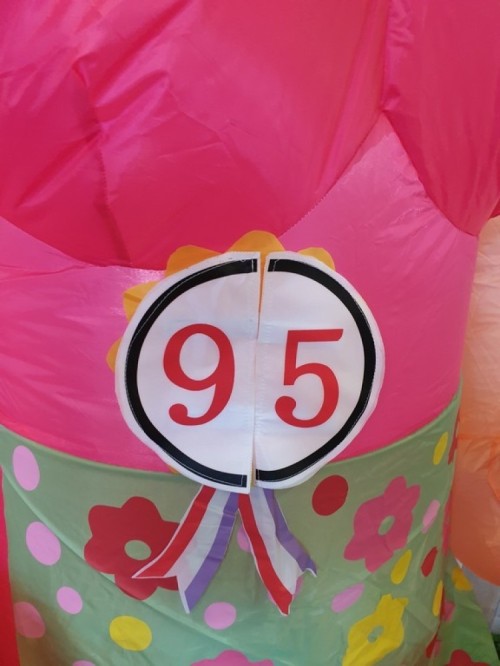 Indoor Sarah Rollator 2,3m